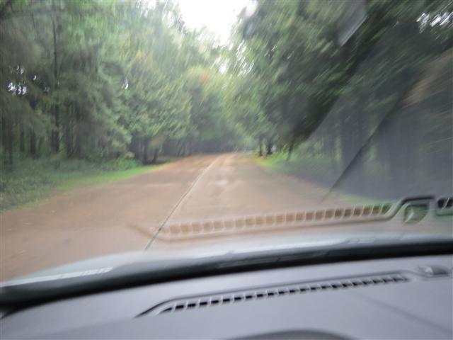 House on the Rock 2 of 7 (#1259)