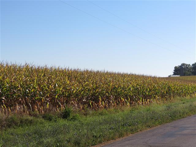 On the way to the Winnebago Cemetery 4 of 4 (#1285)