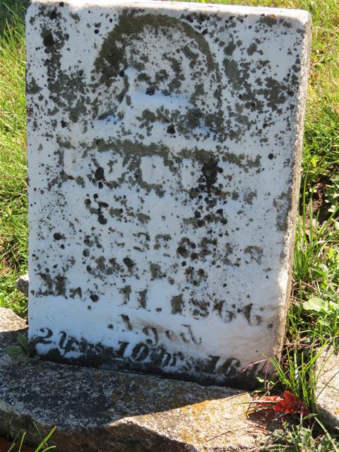 Unknown Searls baby buried in Pecatonica IL area 5 of 6 (#1296)