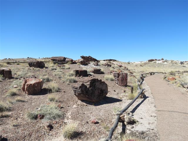 Petrified Forest N.P. near south entrance ( 3 of 9) (#1483)