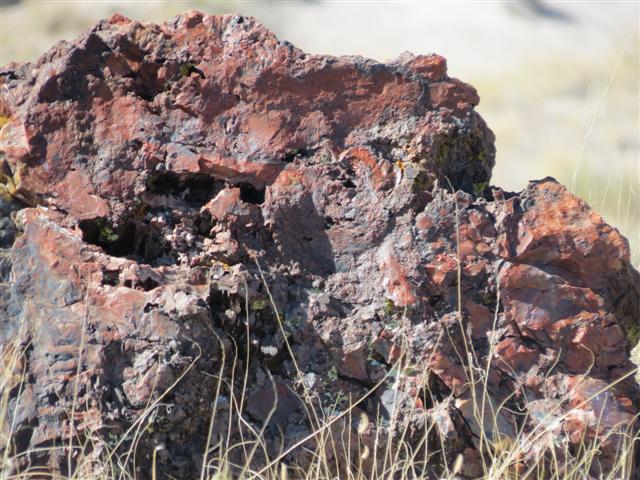Petrified Forest N.P. near south entrance ( 5 of 9) (#1485)