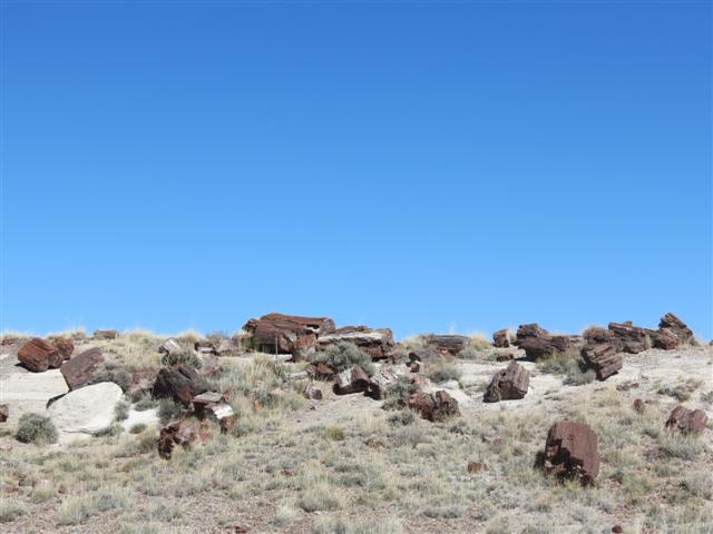 Petrified Forest N.P. near south entrance ( 7 of 9) (#1487)