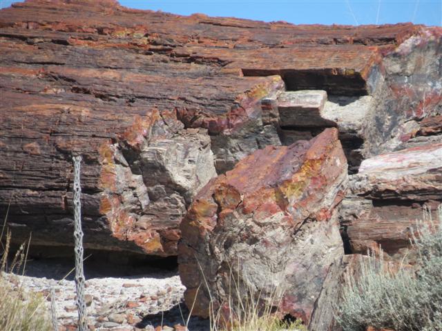 Petrified Forest N.P. near south entrance ( 8 of 9) (#1488)