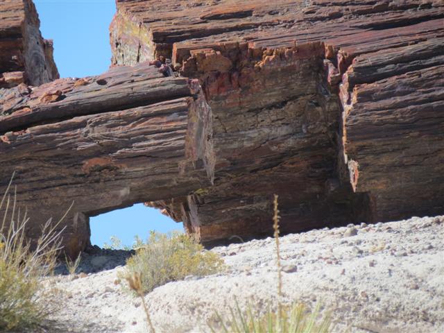 Petrified Forest N.P. near south entrance ( 9 of 9) (#1489)