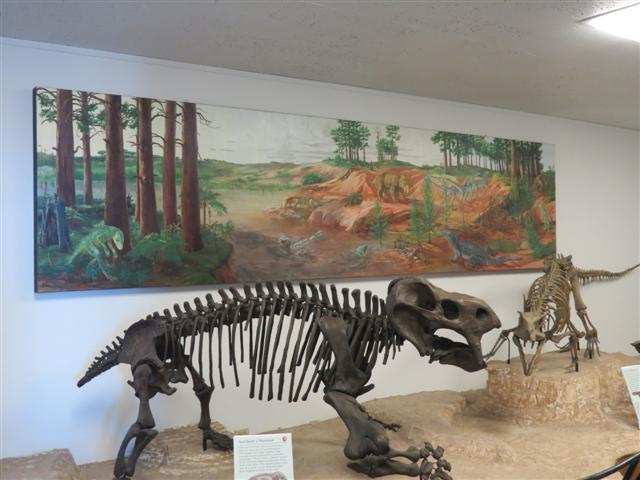 Petrified Forest N.P. Museum at Rainbow Forest ( 4 of 5) (#1492)