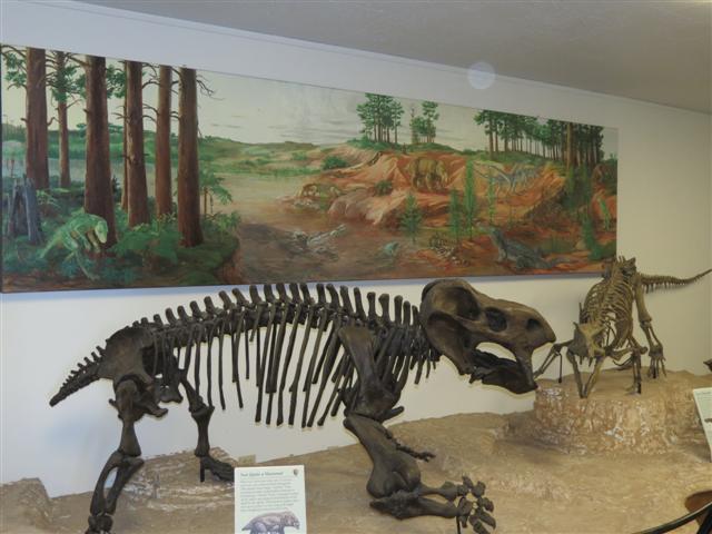 Petrified Forest N.P. Museum at Rainbow Forest ( 5 of 5) (#1493)