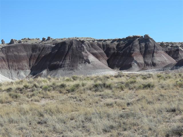 Petrified Forest N.P. east of Rainbow Forest ( 1 of 1) (#1497)