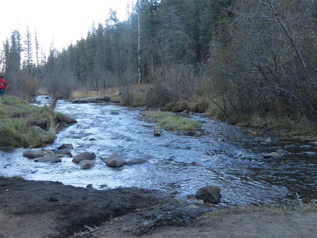 Little Colorado River near Greer AZ ( 1 of 5) (#1506)
