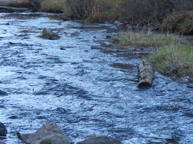Little Colorado River near Greer AZ ( 2 of 5) (#1507)