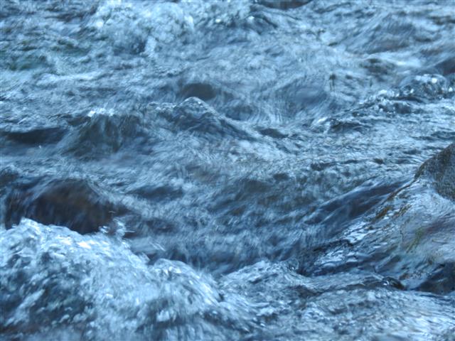 Little Colorado River near Greer AZ ( 4 of 5) (#1509)
