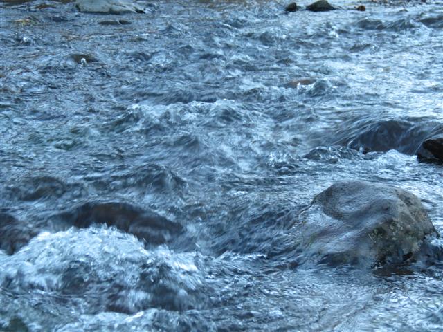 Little Colorado River near Greer AZ ( 5 of 5) (#1510)