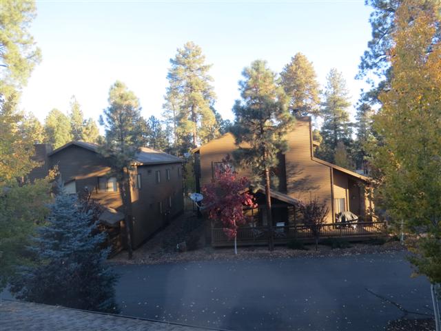 Pinetop AZ, scenes aroound the home of Diana and John ( 2 of 6) (#1512)