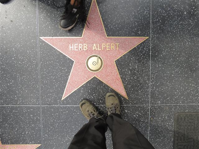 Sites, people and cars in Wax Museum area 7 of 9 (#1955)