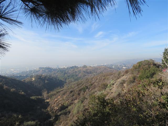 Griffith Observatory area surrounding it  1 of 14 (#1973)