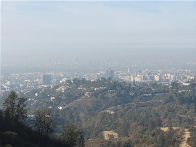 Griffith Observatory area surrounding it  3 of 14 (#1977)
