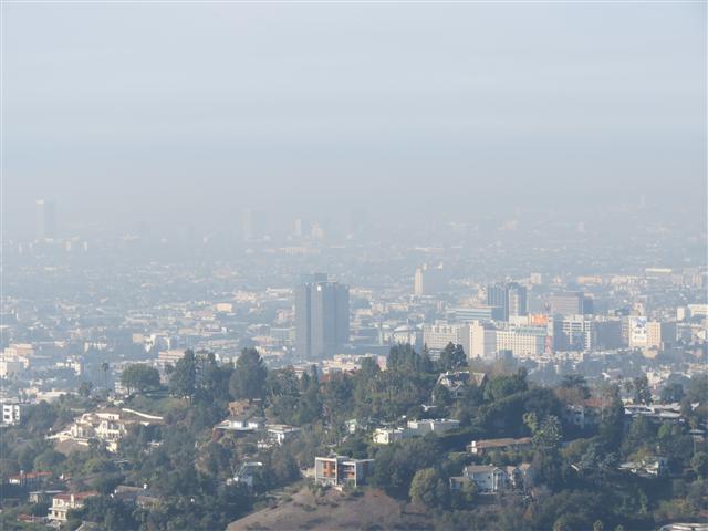 Griffith Observatory area surrounding it  4 of 14 (#1987)