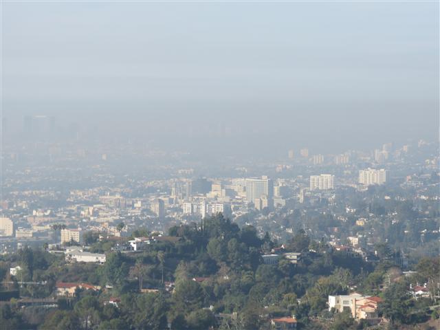 Griffith Observatory area surrounding it  5 of 14 (#1988)