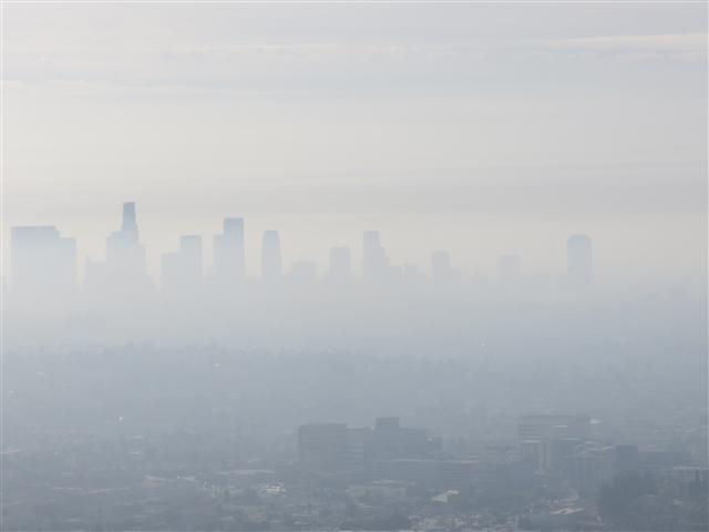 Griffith Observatory area surrounding it  6 of 14 (#1989)