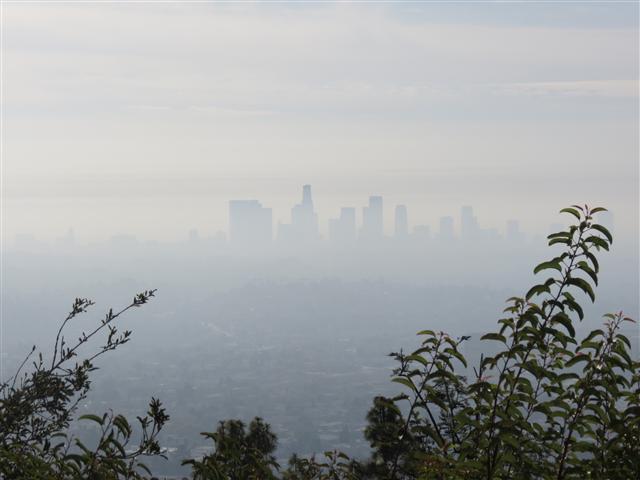 Griffith Observatory area surrounding it  7 of 14 (#1991)