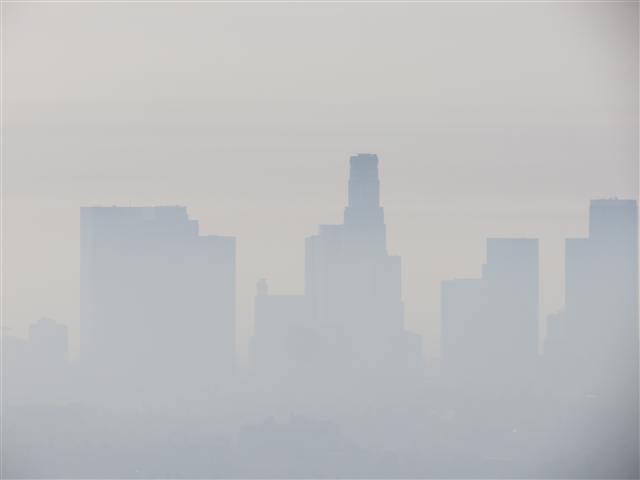 Griffith Observatory area surrounding it  8 of 14 (#1992)