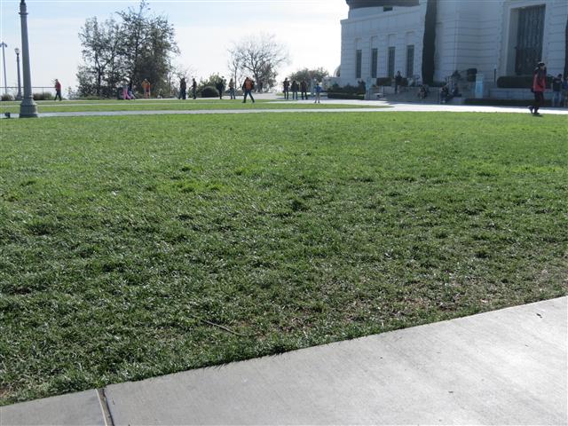 Griffith Observatory from the outside 19 of 23 (#2005)