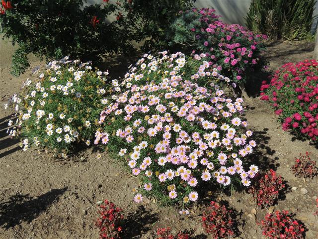 Views from President Reagan Library  7 of 11 (#2049)