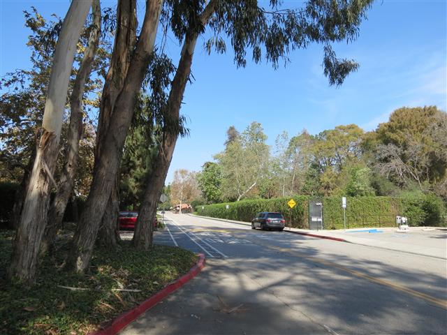 UCLA campus near the Wooden Center 4 of 4 (#2061)