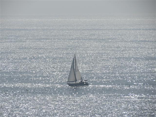 Along Pacific Ocean in Santa Monica 1 of 17 (#2062)