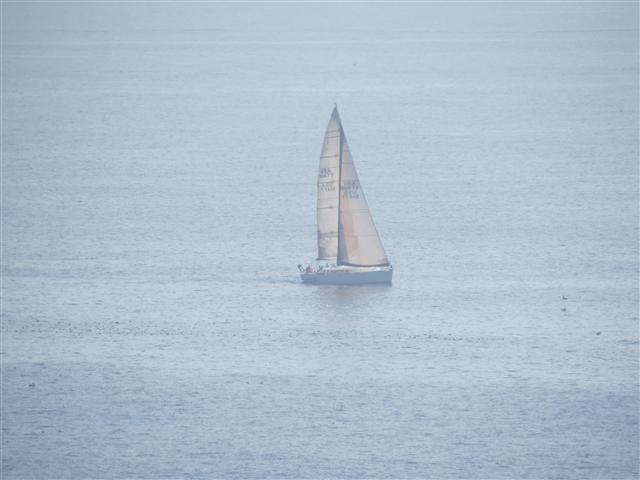 Along Pacific Ocean in Santa Monica 12 of 17 (#2073)