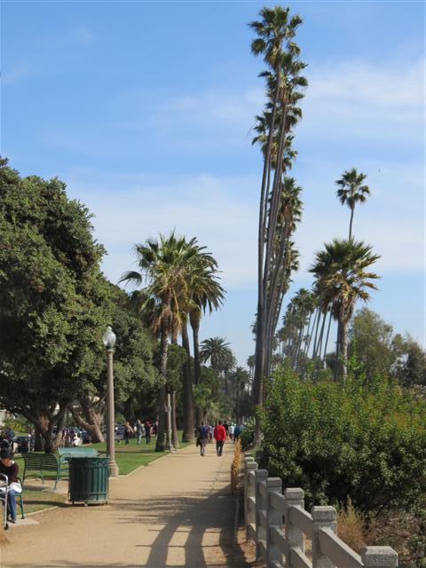 Along Pacific Ocean in Santa Monica 17 of 17 (#2078)