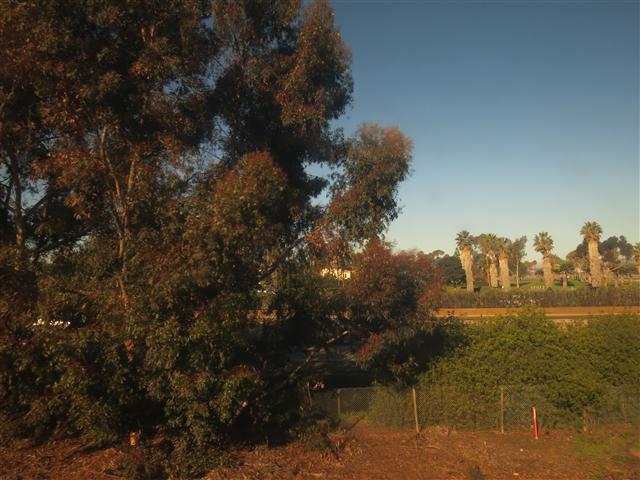 Pacific Ocean on Amtrak between Los Angeles and San Diego 17 of 19 (#2100)
