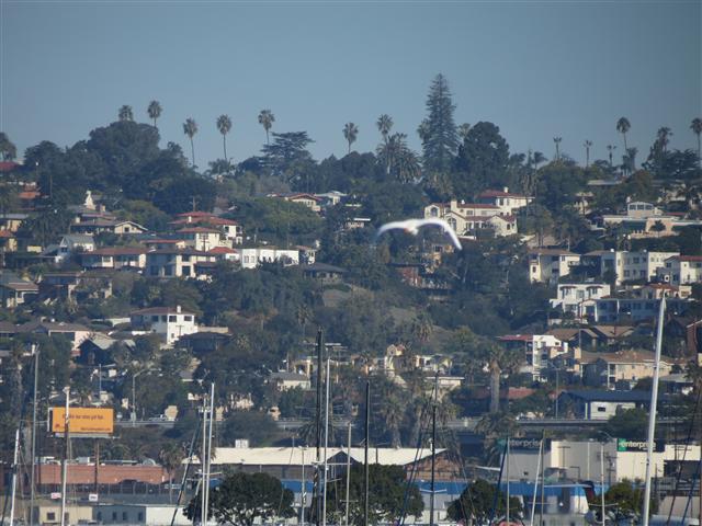 Buildings and harbor in San Diego  7 of 12 (#2118)