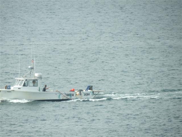 Buildings and harbor in San Diego 10 of 12 (#2146)