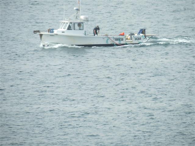 Buildings and harbor in San Diego 11 of 12 (#2147)