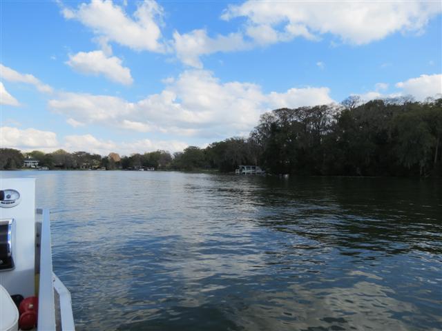 Sights from the Scenic Boat Tour in WInter Park - Water scenes 1 of 5 (#2228)