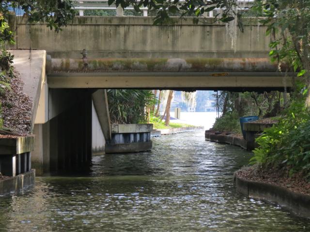 Sights from the Scenic Boat Tour in WInter Park - Water scenes 2 of 5 (#2233)