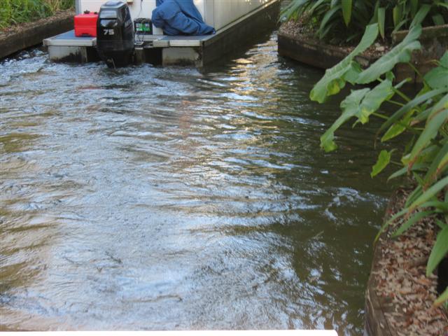 Sights from the Scenic Boat Tour in WInter Park - Water scenes 4 of 5 (#2259)