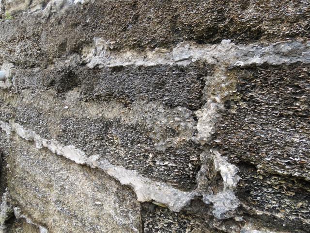 Castillo San De Marcos -- Fort Walls  3 of  4 (#2267)