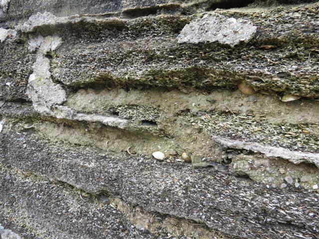 Castillo San De Marcos -- Fort Walls  4 of  4 (#2268)