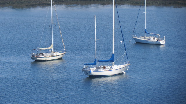 St. Augustine Lighthouse  7 of  9 (#2295)