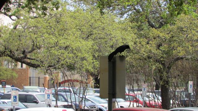 President Johnson Library in Austin  5 of 13 (#2353)