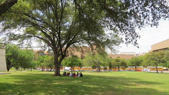 University of Texas campus in Austin 7 of 8 (#2367)