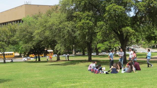 University of Texas campus in Austin 8 of 8 (#2368)
