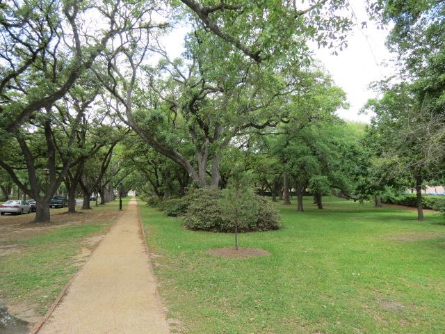 Rice University campus in Houston 2 of 5 (#2404)