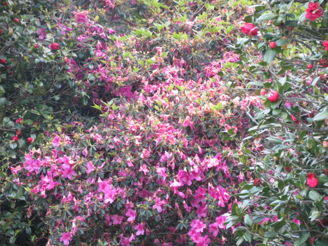  Area around the Louisiana State Capitol in Baton Rouge ( 5 of 5) (#2424)