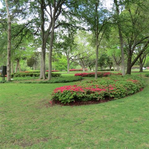 Flippen Park near Southern Methodist University campus in Dallas 4 of 16 (#2483)
