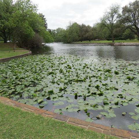 Flippen Park near Southern Methodist University campus in Dallas 6 of 16 (#2485)