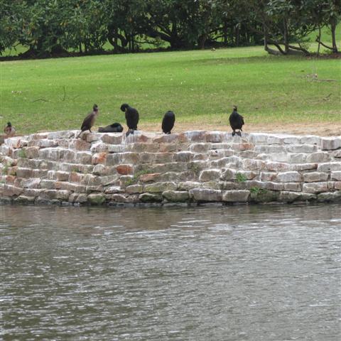 Flippen Park near Southern Methodist University campus in Dallas 7 of 16 (#2486)