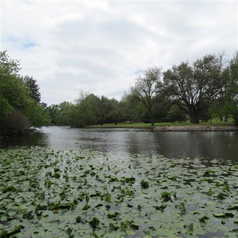 Flippen Park near Southern Methodist University campus in Dallas 14 of 16 (#2493)