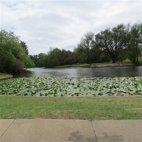 Flippen Park near Southern Methodist University campus in Dallas 16 of 16 (#2495)